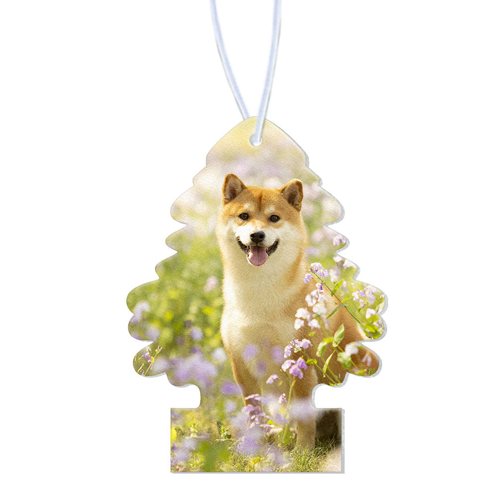 Custom Small Tree Air Freshener Personalized Hanging Car Air Freshener with Essential Oils for Women Man